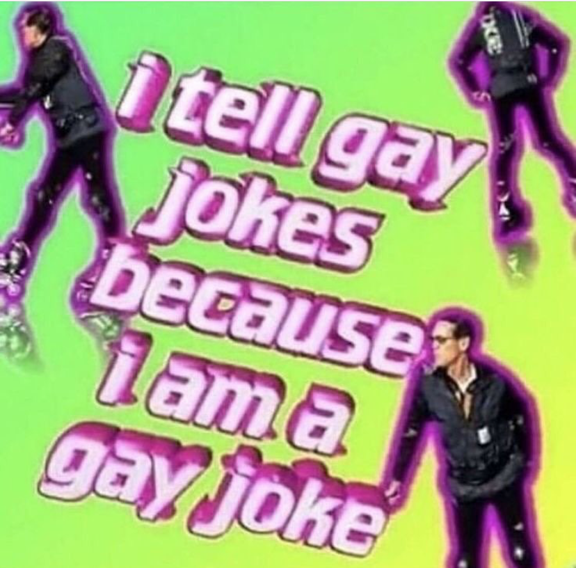 I tell gay jokes because I am a gay joke meme