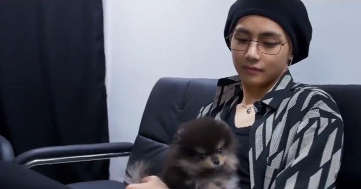 BTS member V and his dog, Yeontan.