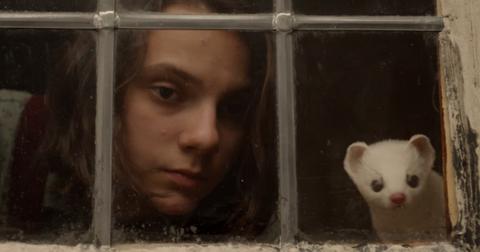 his-dark-materials-hbo-1558469271059.jpg