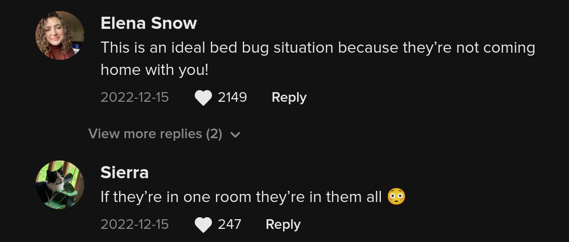 hotel bedbug response tiktok