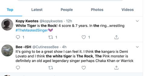 who-is-the-white-tiger-masked-singer-4-1580745987335.jpg
