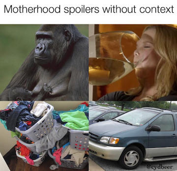 Motherhood meme