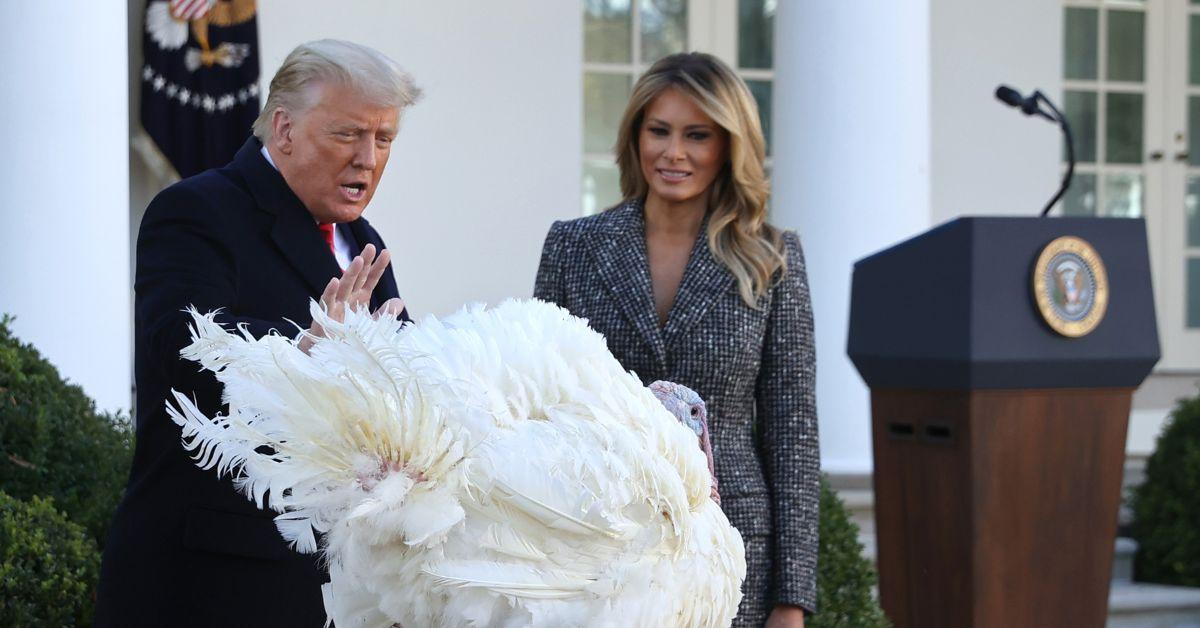 Donald Trump and Melania Trump pardoning a turkey.
