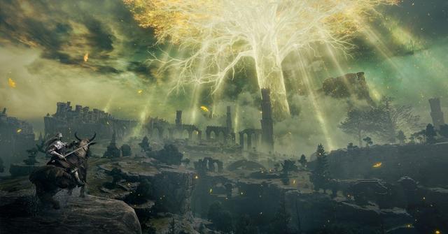 An Elden Ring player looking out over ruins.