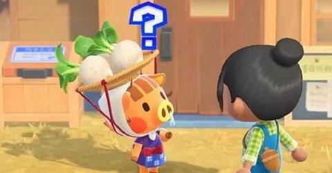 daisy mae animal crossing