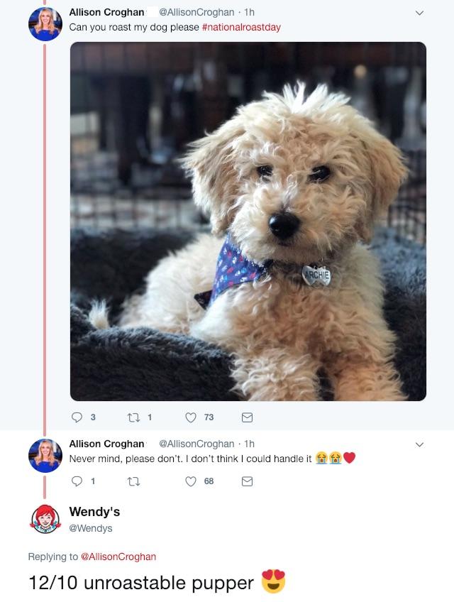 wendys dog tweet