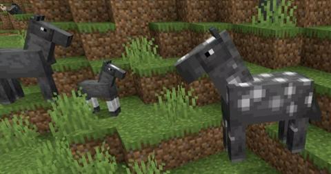 Two Adult Horses and Baby Horse in Minecraft