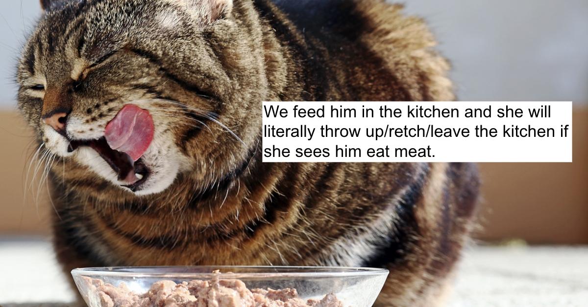 Vegan Woman Claims She Gets Sick If Her Stepmother Feeds the Cat