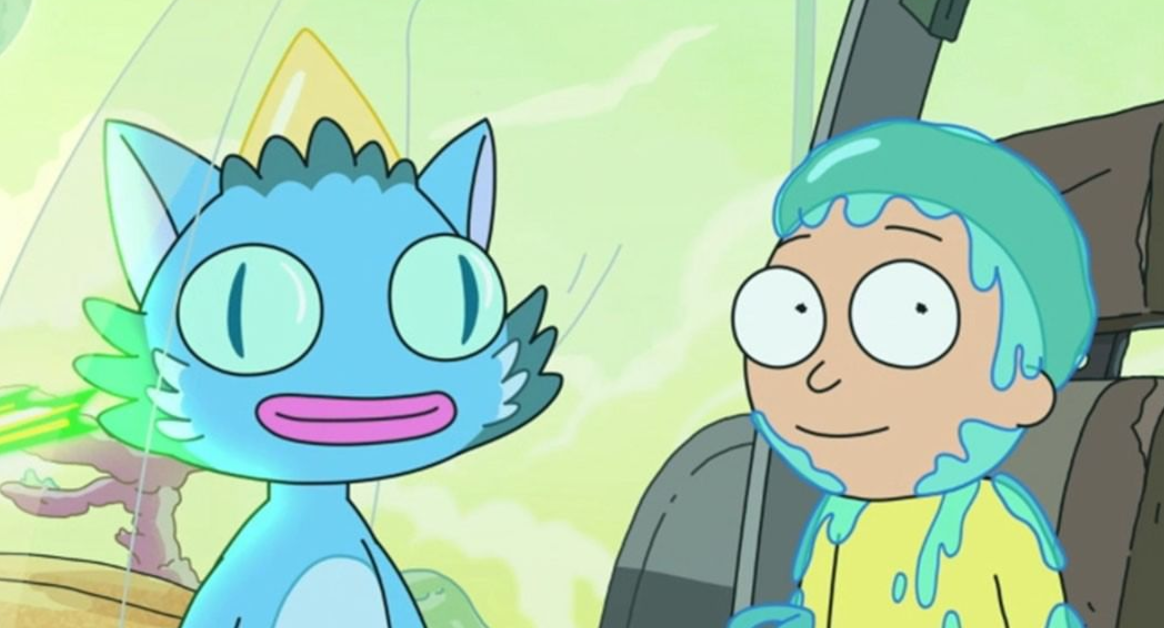 Were there any good theories on what Rick saw in the talking cats's  memories to make him look like this? : r/rickandmorty