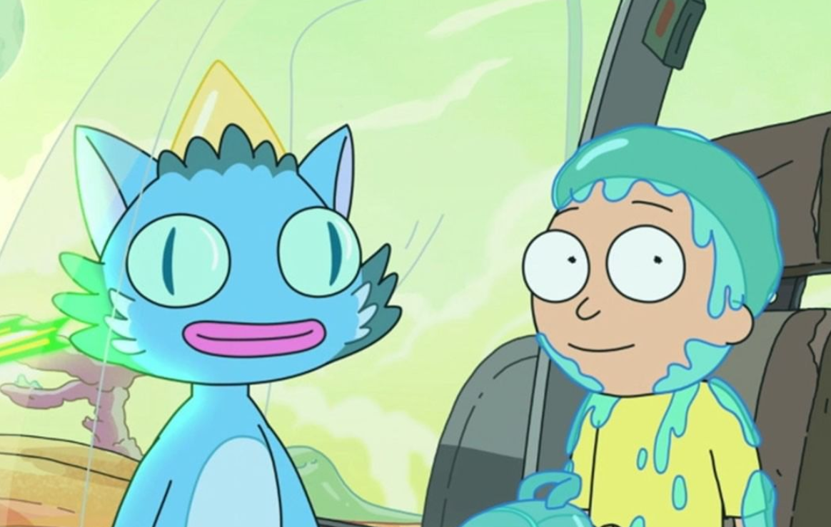 Why Can the Cat Talk in 'Rick and Morty'? Find Out What the Cat Did