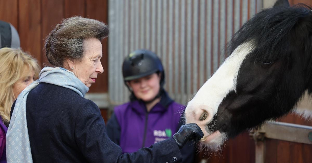 Princess Anne with a horse at the opening of the Reaseheath Equestrian College 