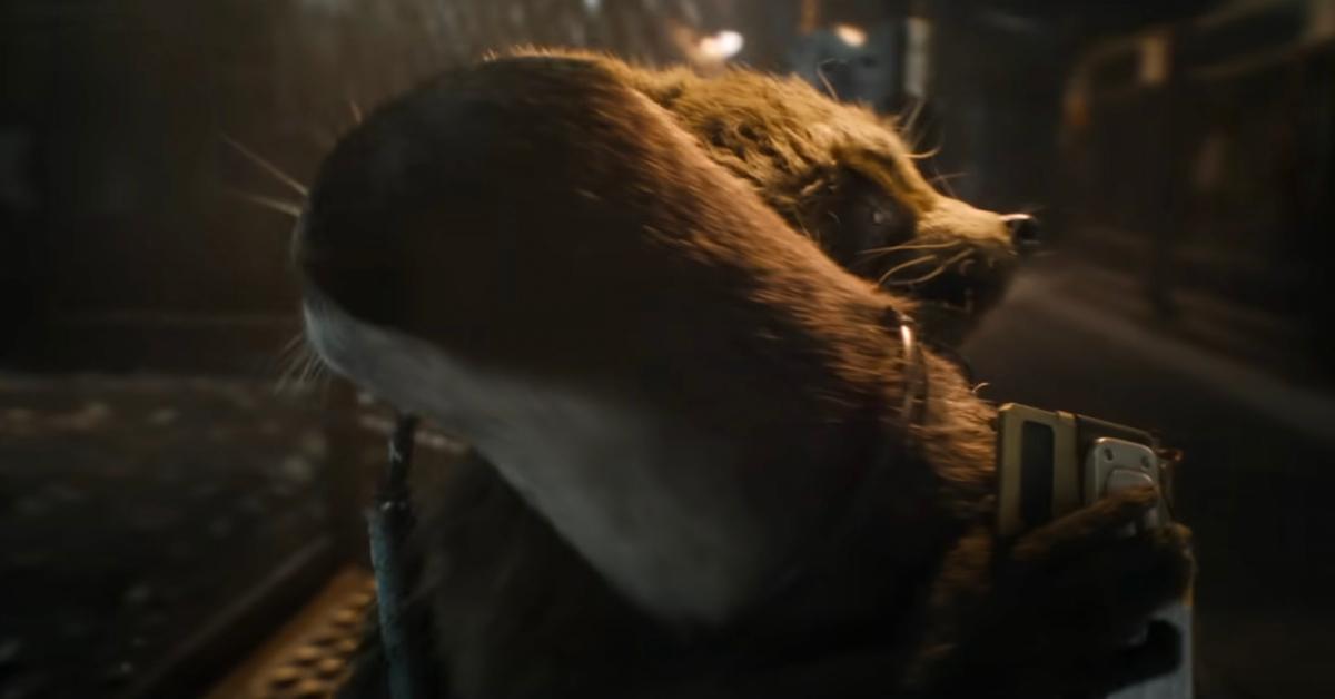 Rocket happily embraces an otter in 'Guardians of the Galaxy Vol. 3'