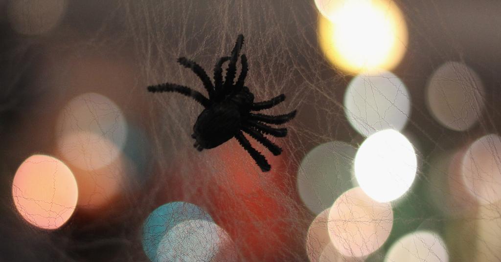 what-does-seeing-a-spider-on-halloween-mean-here-s-what-we-know