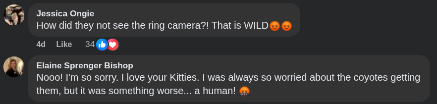 amazon driver steals cat