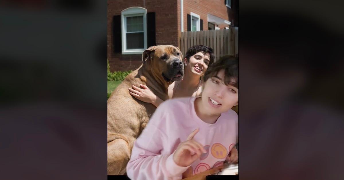 Does Scary Dog Privilege Really Stop Catcalling?