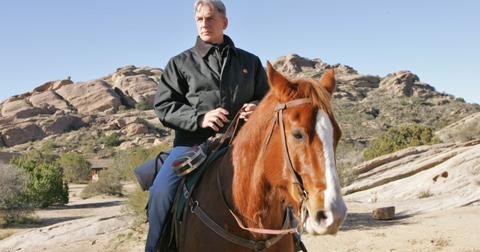 This isn't from episode one, but here's a majestic Mark Harmon photo.