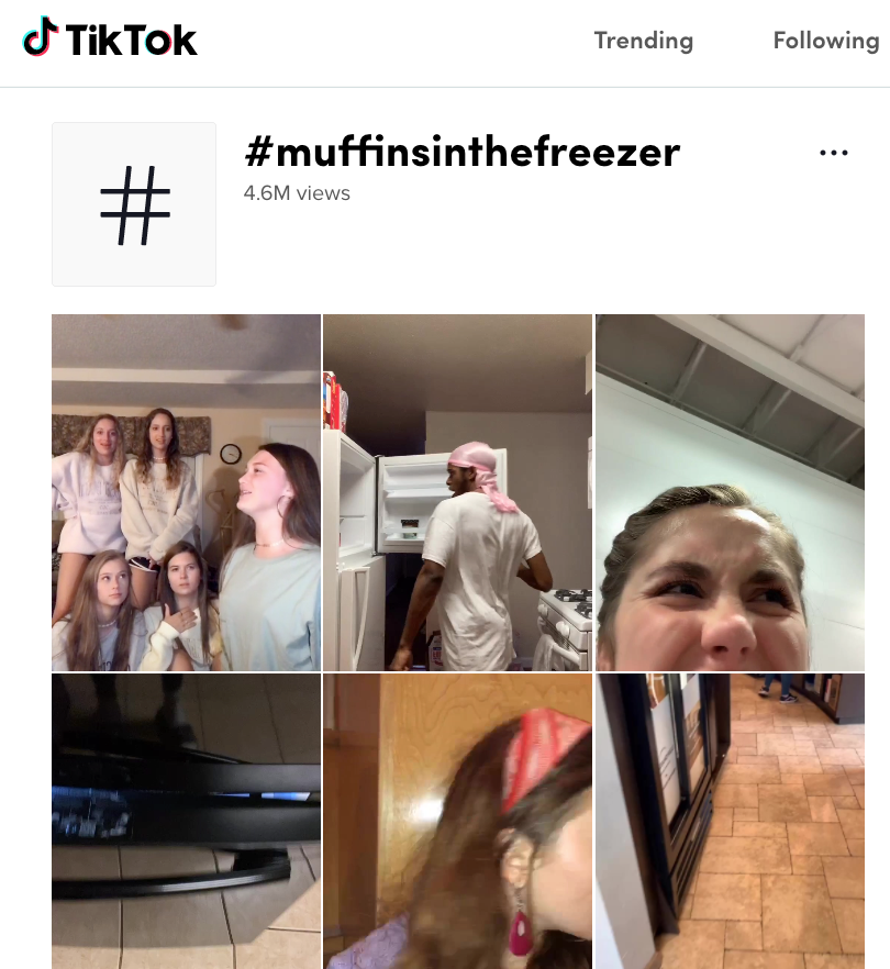 Who Put The Muffins In The Freezer Is Tiktok S Latest Trend - funny vines roblox id