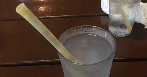 13-pasta-straw-1559229412272.jpg