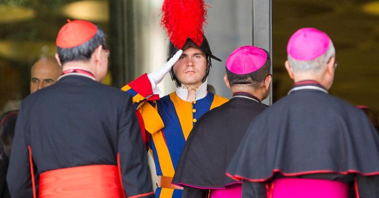 Why Do Some Cardinals Wear Red and Others Purple?