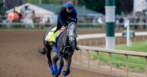 What Happened to the Horse That Fell at the Kentucky Derby