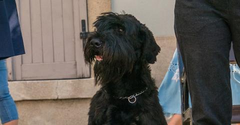 Tank on 'FBI: International'