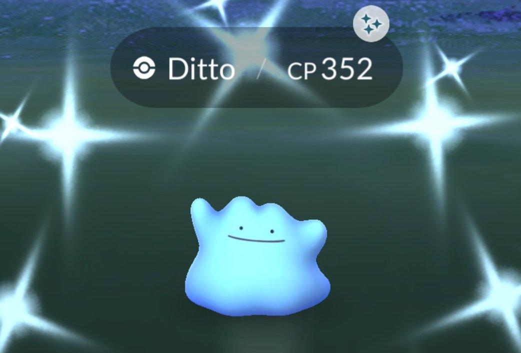 Ditto Shiny Pokemon Go