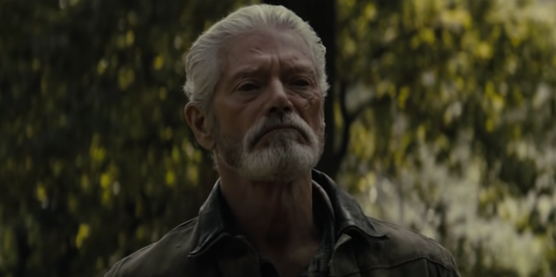 Is 'Don't Breathe' Based on a True Story? Here's What We Know