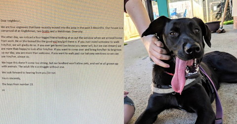 featured-stevie-ticks-1576683928514.jpg