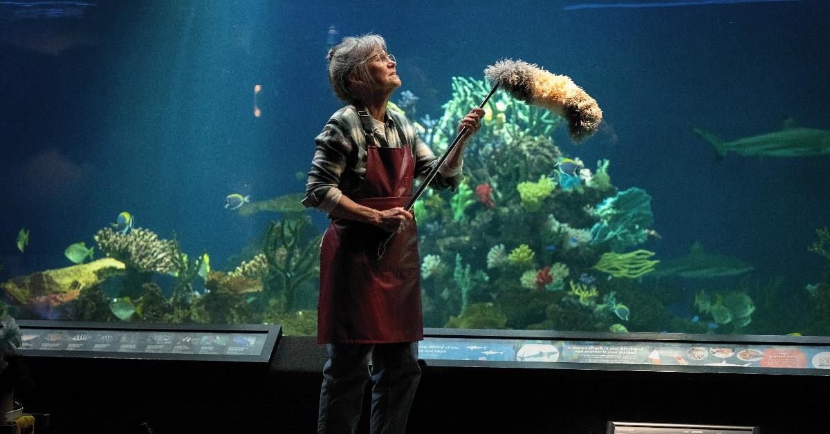 Is 'Remarkably Bright Creatures' Based on a True Story? 