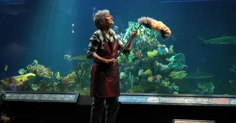 Is 'Remarkably Bright Creatures' Based on a True Story?