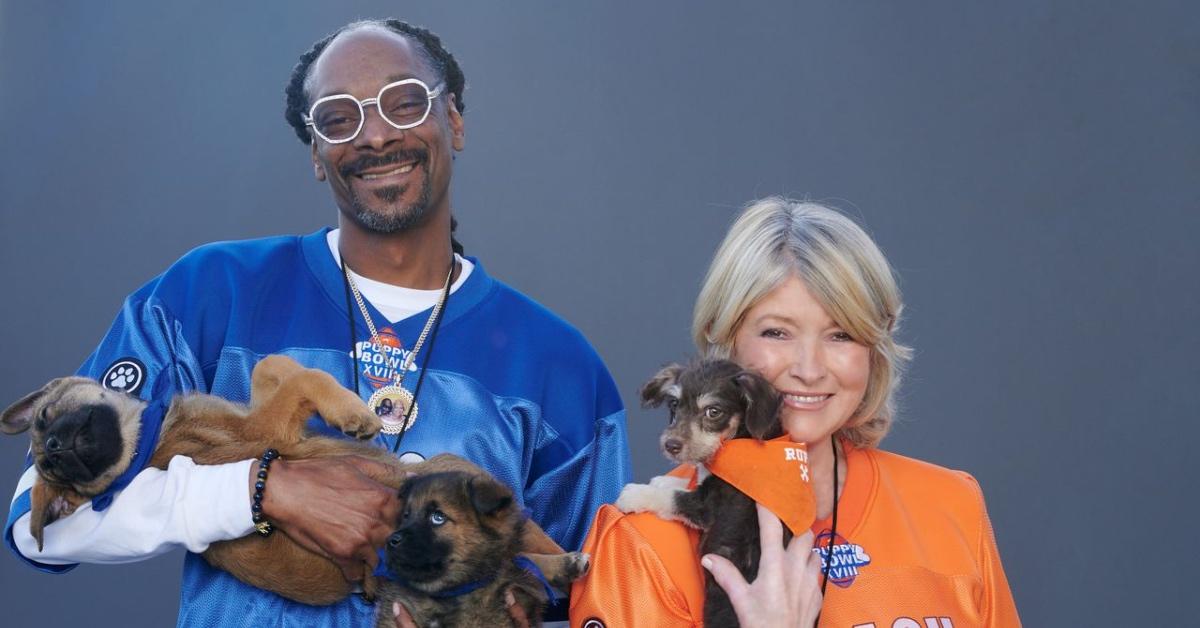 Puppy Bowl' dogs compete in 'Winter Games' in new special: How to watch and  stream this week 