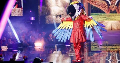 Macaw performs on 'The Masked Singer'