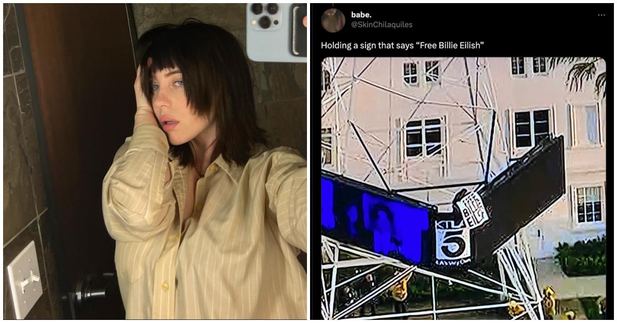 billie eilish selfie, photo of man holding free billie eilish sign