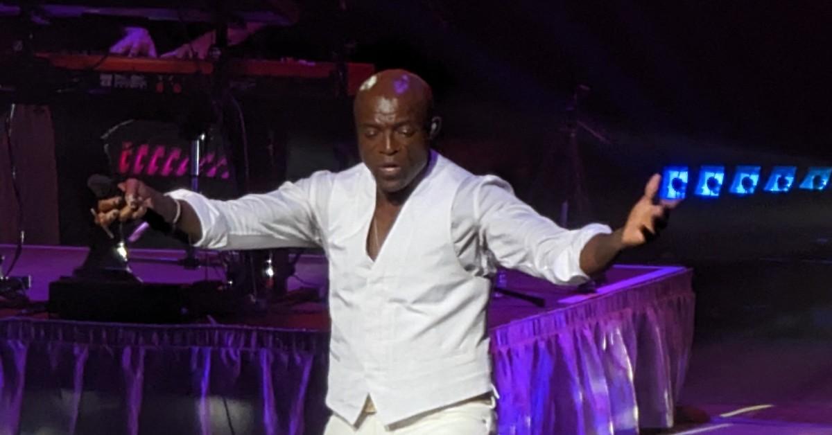 Seal performing for a crowd