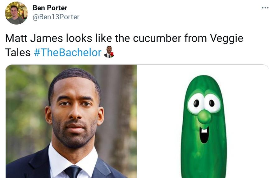 matt james veggie tales