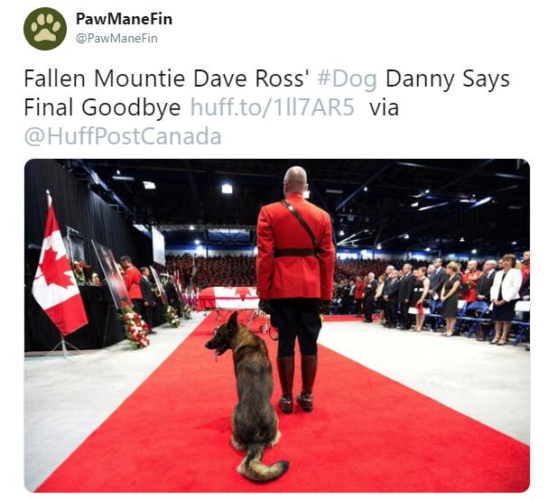 dave ross mountie danny