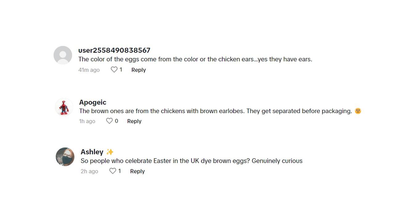 Commenters sharing insights about brown versus white eggs