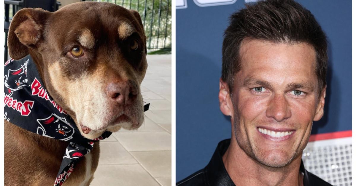 Tom Brady Cloned His Dog Which Is Dystopian but Understandable