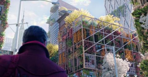 Doctor Strange surveys Earth-838