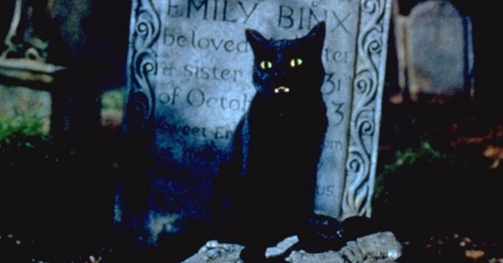 Is Everyone's Favorite Cat Thackery Binx in 'Hocus Pocus 2'?