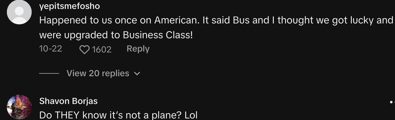 american airlines bus instead of flight