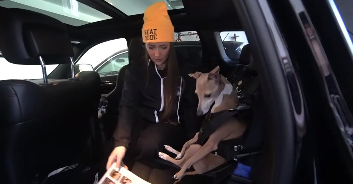 Does Jenna Marbles Abuse Her Dogs? Fans Are Calling Her Out About It