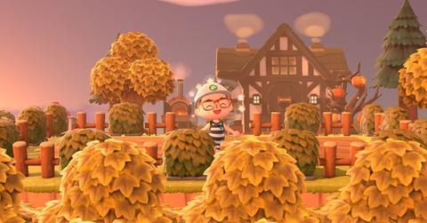 'Animal Crossing: New Horizons'