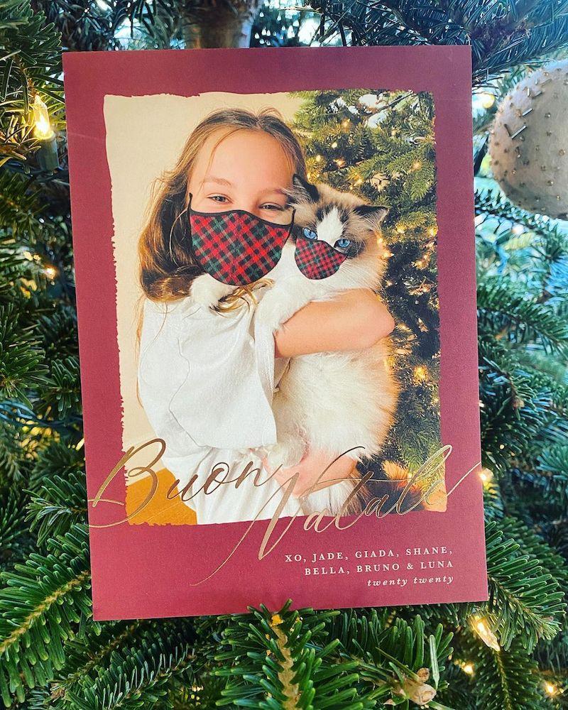 celebrity christmas cards