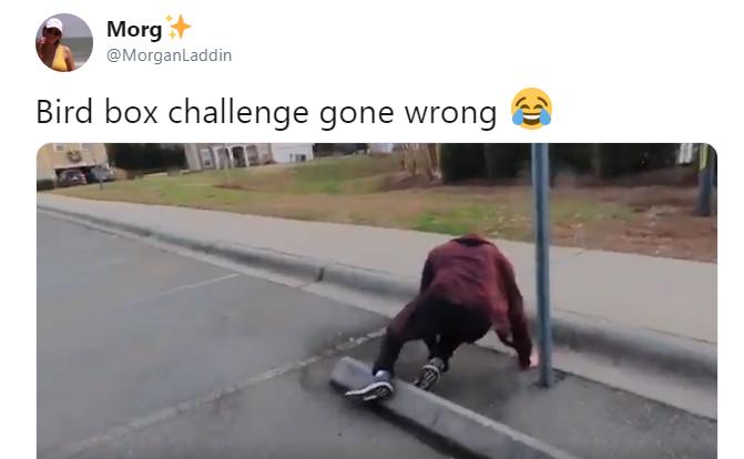 Netflix Wants People to Stop the Bird Box Challenge Before They Hurt ...