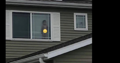 featured naked kid in window