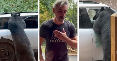 Animal Expert Says Tennessee Bears Know How To Open Car Doors