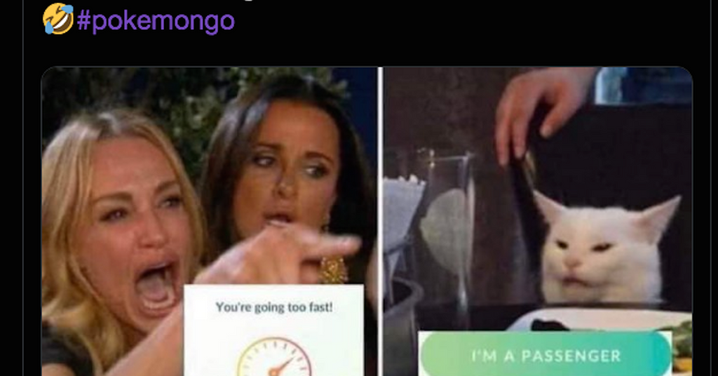 These White Cat Memes Are Peak Humor, TBH — Details