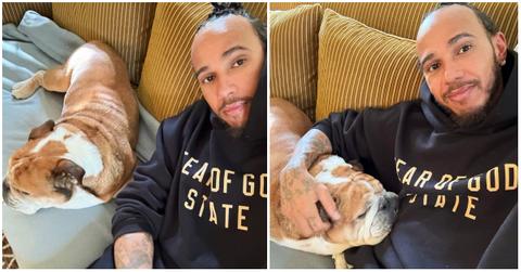Lewis Hamilton’s Dog, Roscoe’s Cause of Death Explained