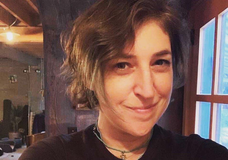 What Does Mayim Bialik Think About Politics? Details on Her Views